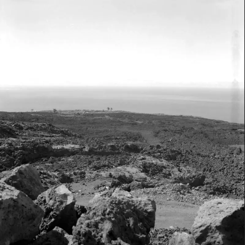 Panorámica desde Los Sauces